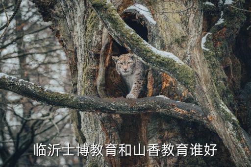 临沂士博教育和山香教育谁好
