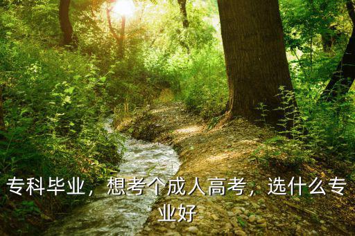 专科毕业，想考个成人高考，选什么专业好