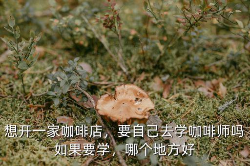 想开一家咖啡店，要自己去学咖啡师吗如果要学，哪个地方好