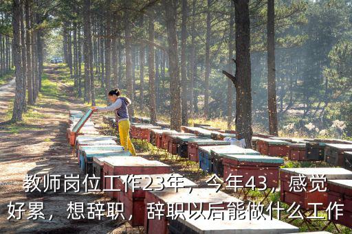 教师岗位工作23年，今年43，感觉好累，想辞职，辞职以后能做什么工作