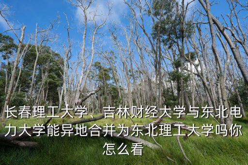 长春理工大学、吉林财经大学与东北电力大学能异地合并为东北理工大学吗你怎么看