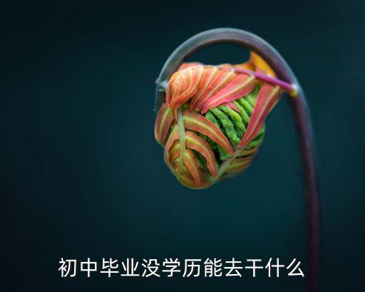 初中毕业没学历能去干什么