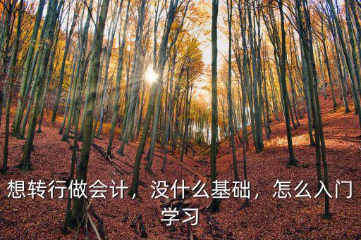 想转行做会计，没什么基础，怎么入门学习