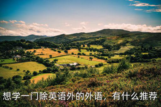 想学一门除英语外的外语，有什么推荐