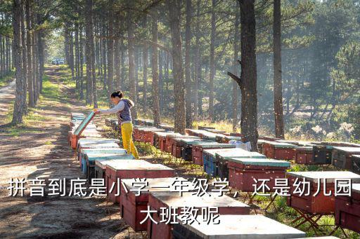 拼音到底是小学一年级学，还是幼儿园大班教呢