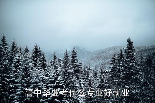 高中毕业考什么专业好就业