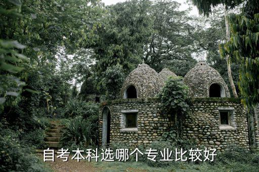 自考本科选哪个专业比较好
