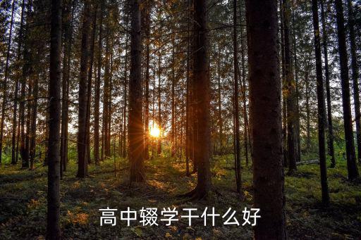 高中辍学干什么好