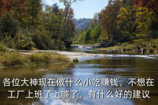 各位大神现在做什么小吃赚钱，不想在工厂上班了上够了，有什么好的建议