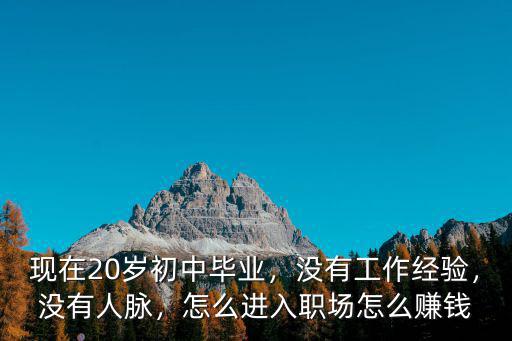 现在20岁初中毕业，没有工作经验，没有人脉，怎么进入职场怎么赚钱
