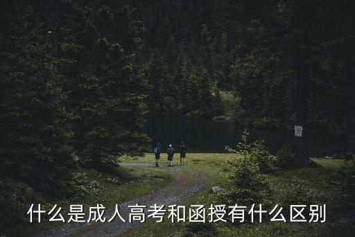 函授是什么形式,什么是成人高考