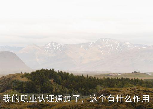 职业通道认证写什么作用,职业认证有什么用