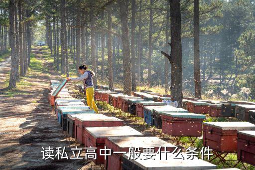 读私立高中一般要什么条件
