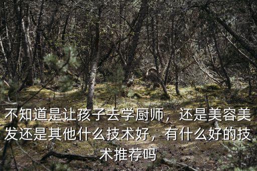 不知道是让孩子去学厨师，还是美容美发还是其他什么技术好，有什么好的技术推荐吗