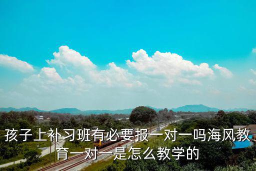 孩子上补习班有必要报一对一吗海风教育一对一是怎么教学的