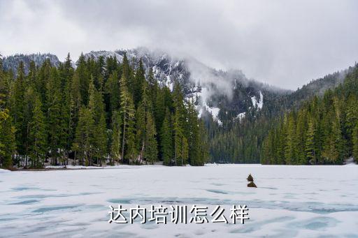 达内培训怎么样