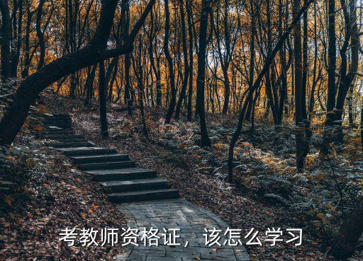 考教师资格证，该怎么学习