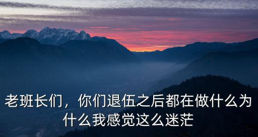 老班长们，你们退伍之后都在做什么为什么我感觉这么迷茫