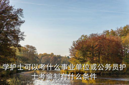 社区护士编制都考什么条件,护士考编制有什么条件