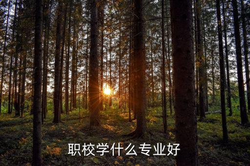职校学什么专业好