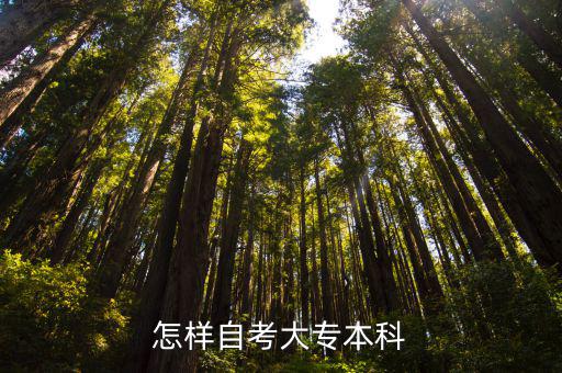 毕业的专科生怎么自考本科,怎样自考大专本科