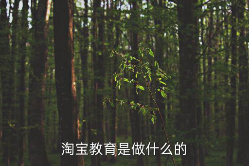 淘宝教育是做什么的