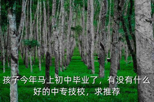 孩子今年马上初中毕业了，有没有什么好的中专技校，求推荐