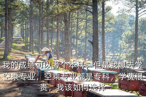 我的成绩可以考个本科，但是我想去学空乘专业，空乘专业都是专科，学费很贵，我该如何选择