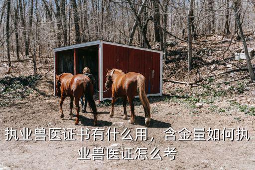 职业兽医资格证怎么考,执业兽医证怎么考