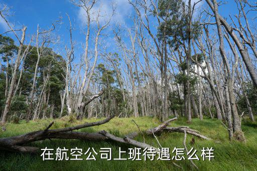在航空公司上班待遇怎么样