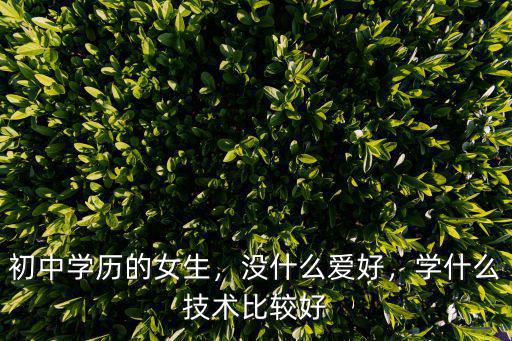 初中学历的女生，没什么爱好，学什么技术比较好