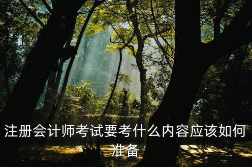 注册会计师考试要考什么内容应该如何准备