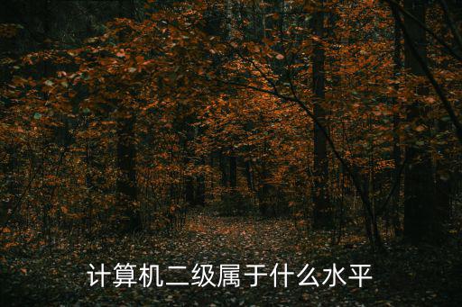 计算机二级属于什么水平