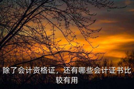 除了会计资格证，还有哪些会计证书比较有用