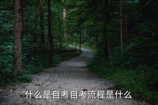 什么是自考自考流程是什么