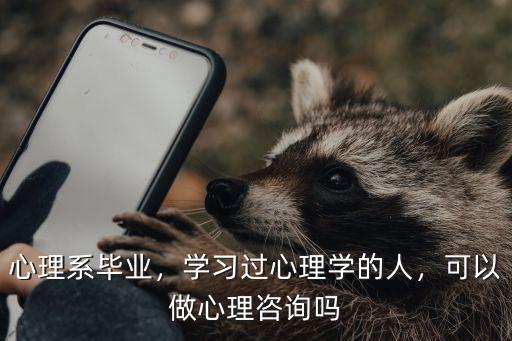 心理系毕业，学习过心理学的人，可以做心理咨询吗
