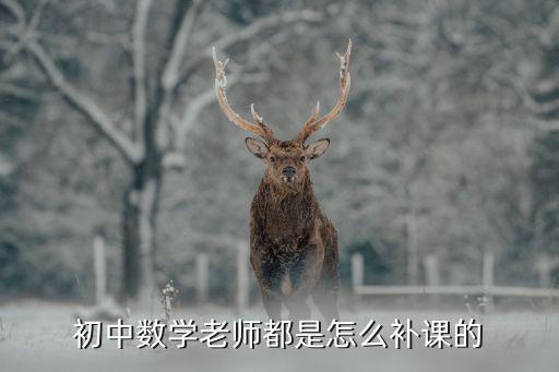 初中数学补课都讲什么,初中数学老师都是怎么补课的