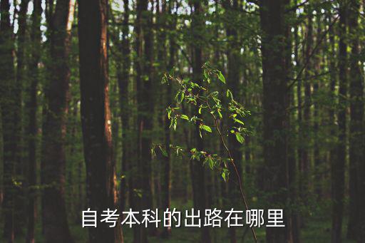 自考本科的出路在哪里