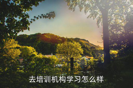 去培训机构学习怎么样