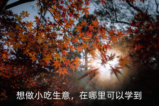 想做小吃生意，在哪里可以学到