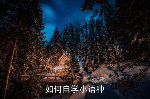 如何自学小语种