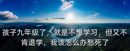 孩子九年级了，就是不想学习，但又不肯退学，我该怎么办愁死了