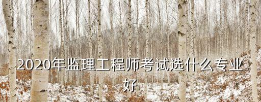 2020年监理工程师考试选什么专业好