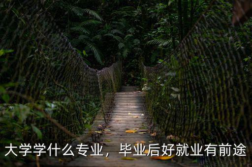 大学学什么专业，毕业后好就业有前途