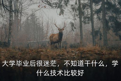 大学毕业后不知道学什么技术或者专业好,学什么技术比较好