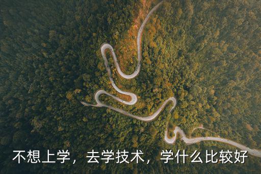 不想上学，去学技术，学什么比较好