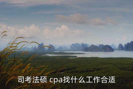 司考法硕 cpa找什么工作合适