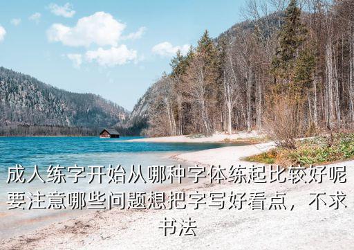 成人练字开始从哪种字体练起比较好呢要注意哪些问题想把字写好看点，不求书法