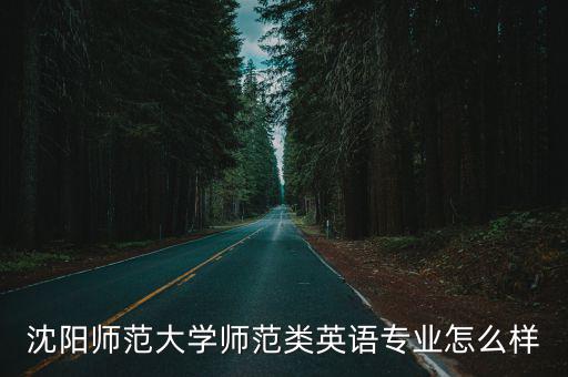 沈阳师范大学师范类英语专业怎么样