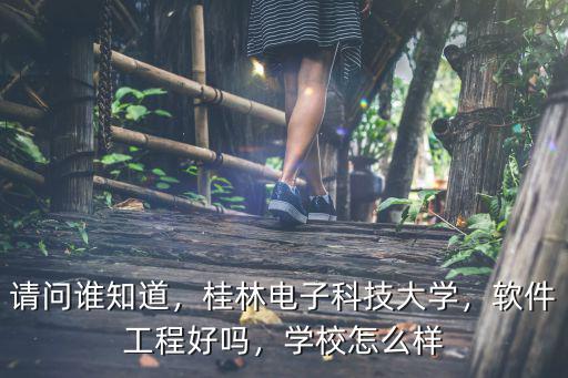 请问谁知道，桂林电子科技大学，软件工程好吗，学校怎么样